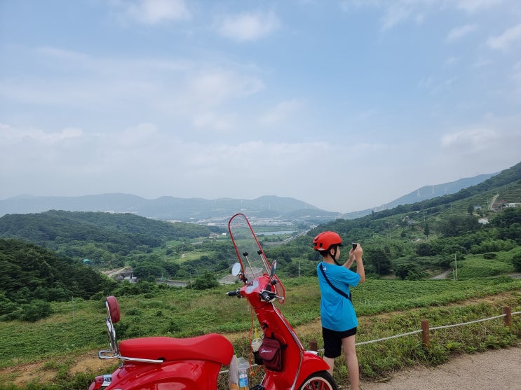  아들과 7월 첫 나들이.. (용전 숲, 진례 저수지)