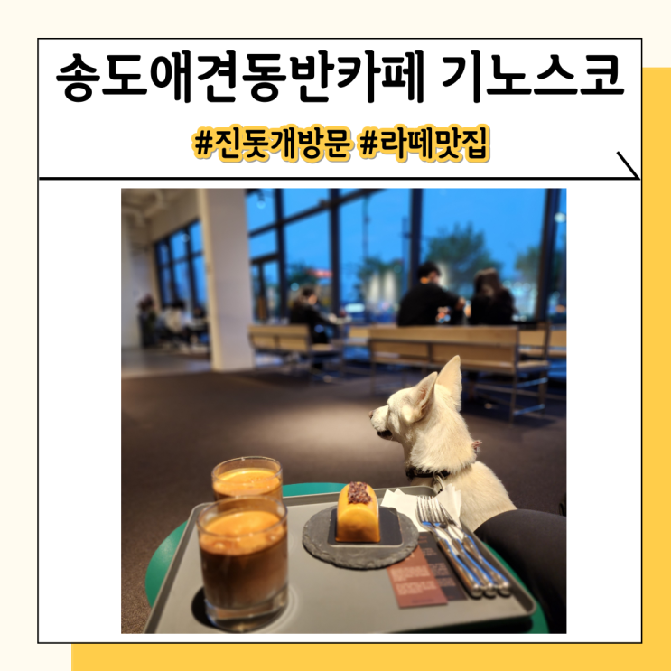 송도애견동반카페 기노스코 분위기 좋은 라떼 맛집을 찾는다면 송도애견동반카페 기노스코 분위기 좋은 라떼 맛집을 찾는다면