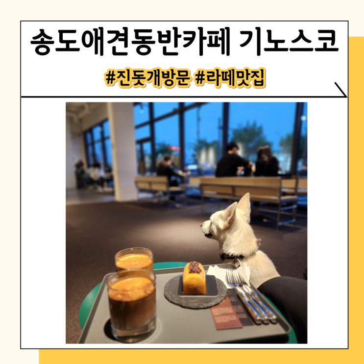 송도애견동반카페 기노스코 분위기 좋은 라떼 맛집을 찾는다면