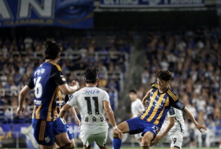 2023시즌 K리그 국내 프로축구 20라운드 광주FC 울산현대 포항스틸러스 수원FC 2023시즌 K리그 국내 프로축구 20라운드 광주FC 울산현대 포항스틸러스 수원FC