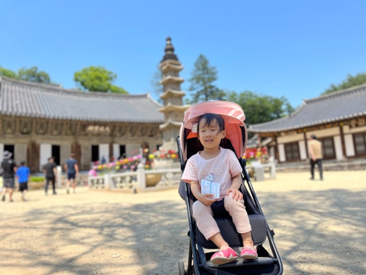  [아이와 공주여행] 5살 아이와 마곡사 방문 후기 공주 갈만한 곳 마곡사 공주 야외
