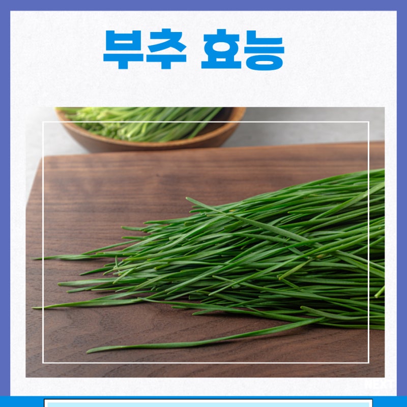 부추 효능 부추즙 부작용 칼로리 산부추 부추가루 두메부추 : 네이버 블로그