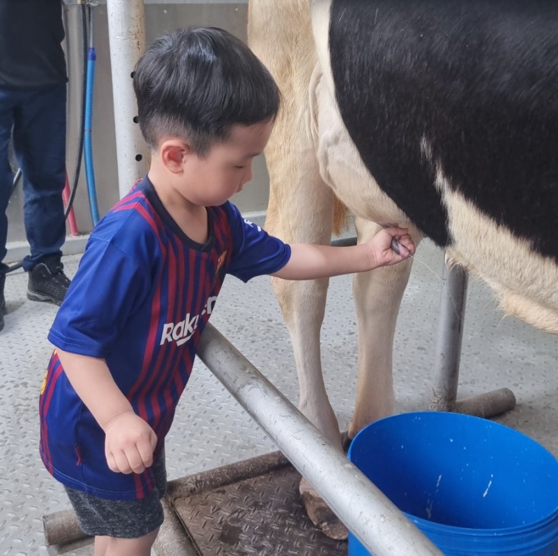 동원목장 27개월 아기와 함께 목장체험 후기 & 예약방법 매우 만족