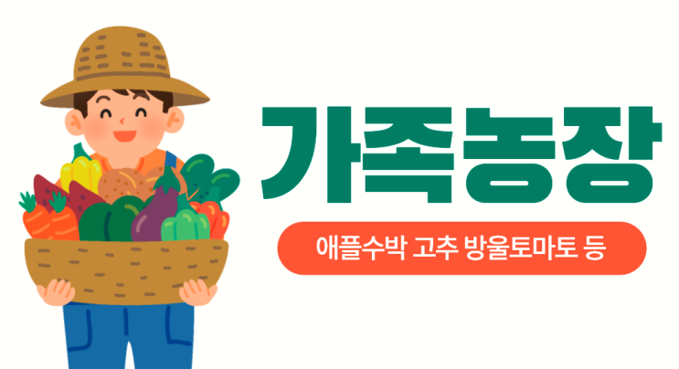 가족농장 가족텃밭 방울토마토 고추 깻잎 상추 대파 애플수박