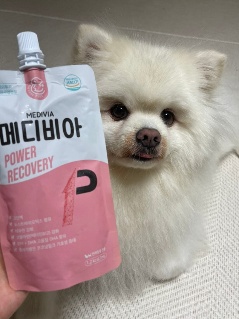 강아지집중회복영양식 메디비아 파워 리커버리