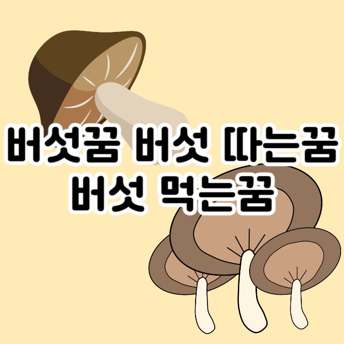 버섯꿈 버섯 따는꿈 버섯 먹는꿈
