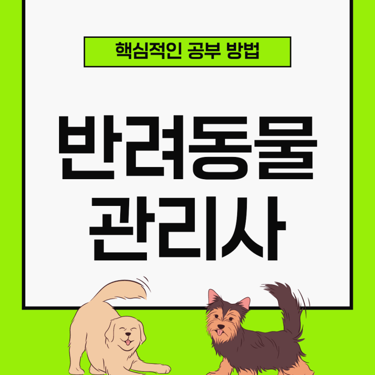 반려동물관리사 자격증 시험 핵심적인 공부 방법 반려동물관리사 자격증 시험 핵심적인 공부 방법