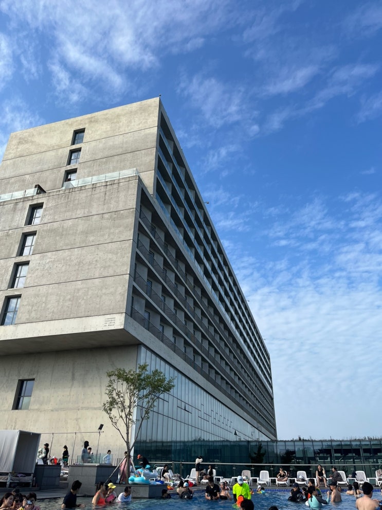  업무용승용차 비용 및 한도 정리(1)
