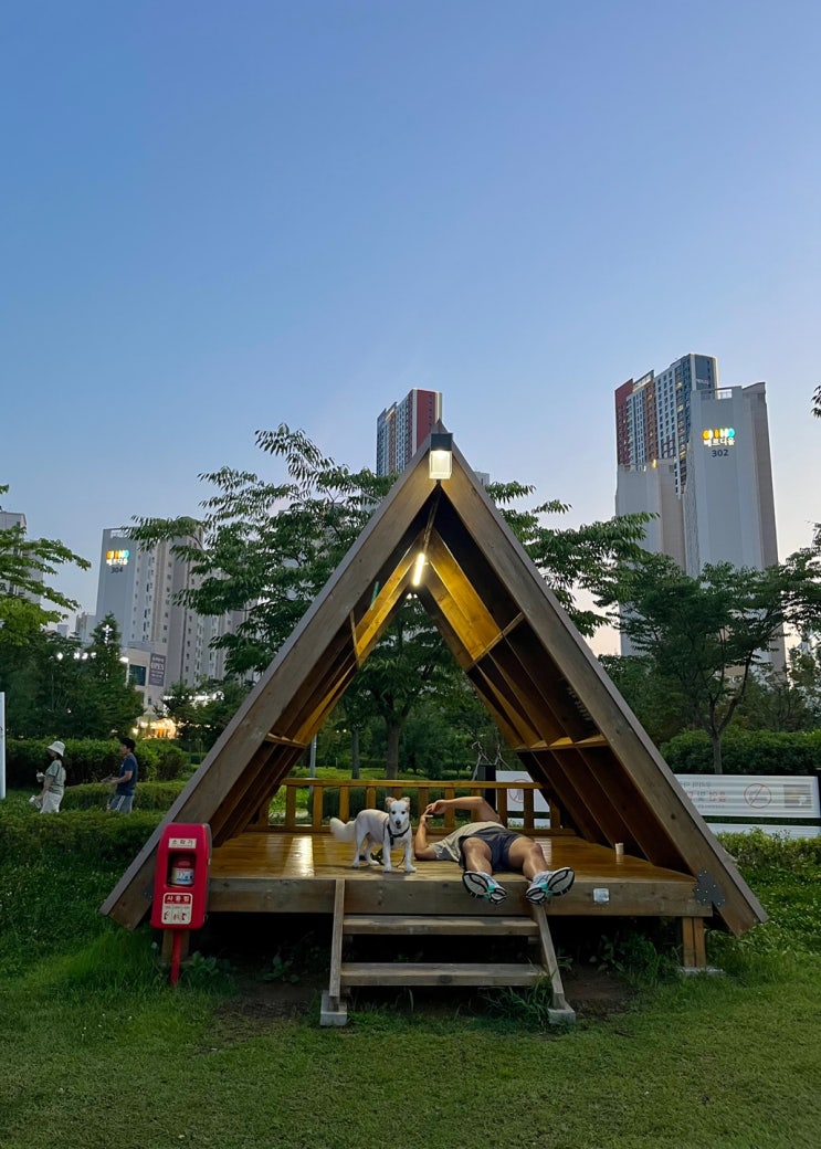  김포 강아지 산책 애견 동반 산책하기 좋은 곳 추천!