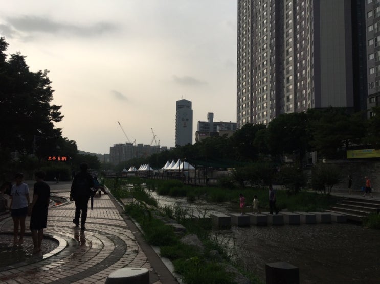  5km 달리기 -15일