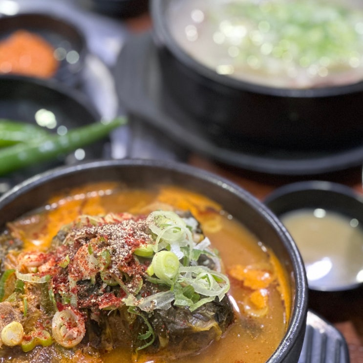 [천안/백석동 맛집] 얼큰한 뼈해장국 맛집, 운동장감자탕