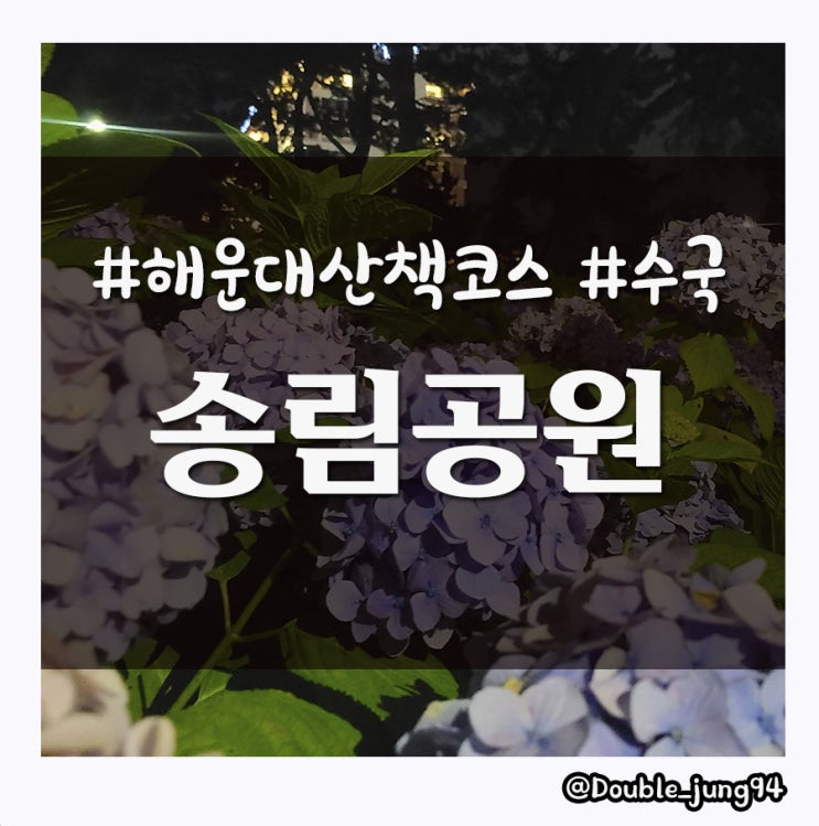  부산 해운대 야간 데이트 추천 송림공원 산책하면서 수국 보기