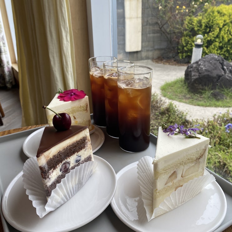  제주도 3박 4일_제주도 케이크 맛집 쉬리니케이크
