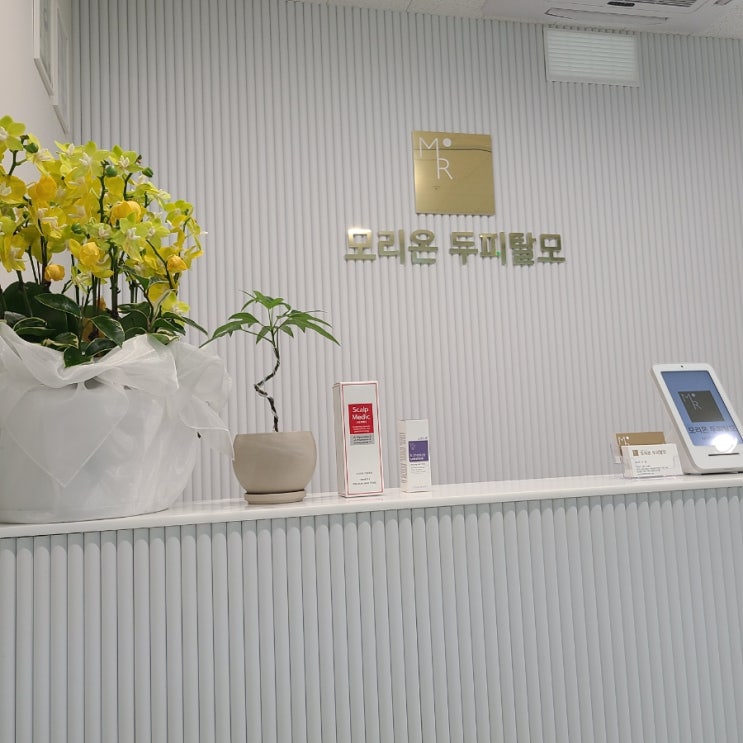  모리온 두피탈모 관리 받고 힐링하고 왔어요!