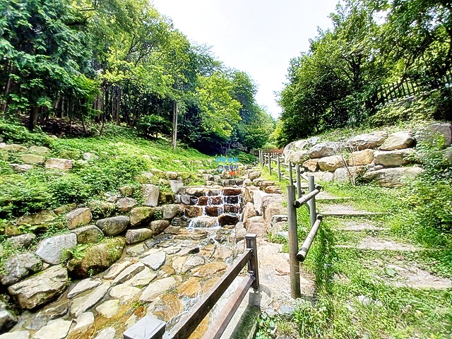 구봉산치유숲길 등산 동의대까지 올챙이서식지발견 구봉산치유숲길 등산 동의대까지 올챙이서식지발견