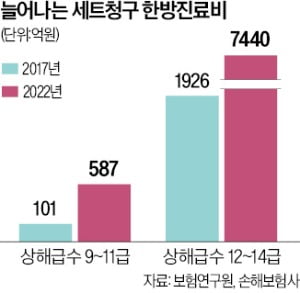 타박상인데 한번에 6가지 진료…車보험료 올리는 한방진료 급증 타박상인데 한번에 6가지 진료…車보험료 올리는 한방진료 급증