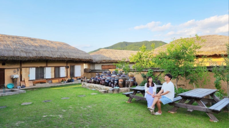 안동 하회마을 숙소 추천, 개별 화장실이 있는 깔끔한 민박!(ft. 화월정) : 네이버 블로그