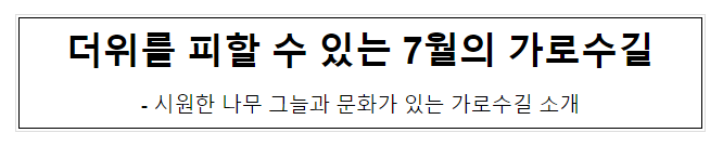 더위를 피할 수 있는 7월의 가로수길 더위를 피할 수 있는 7월의 가로수길