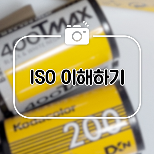  [사진 기초] ISO 쉽게 이해하기