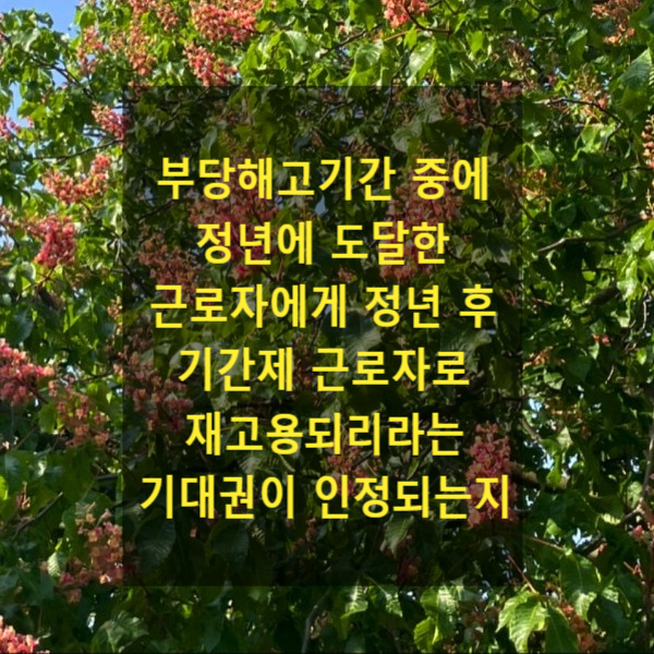  부당해고기간 중에 정년에 도달한 근로자에게 정년 후 기간제 근로자로 재고용되리라는 기대권이 인정되는지(대법원 2023. 6. 1. 선고 2018다275925)
