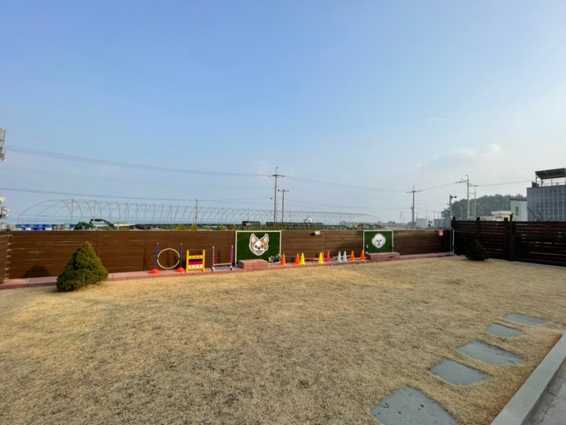 사진 5