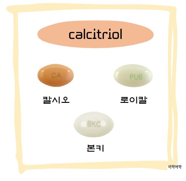 비타민D 대사과정 및 기능 [cholecalciferol, calciol, calcifediol, calcitriol ...