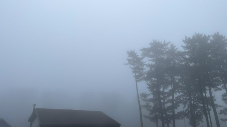  집앞 풍경_ 안개 뭐지..