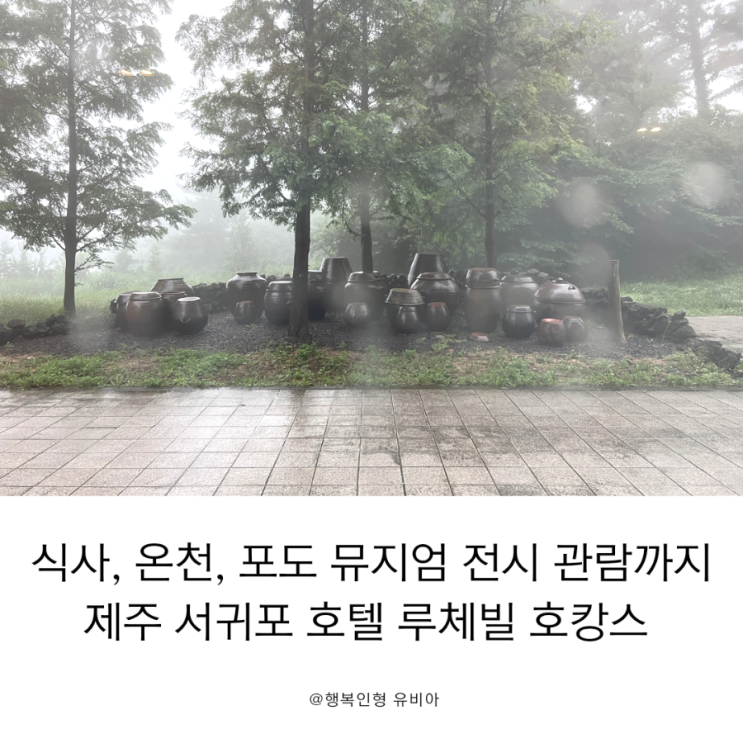  비 올때 더 특별한 제주여행 맛집 온천 전시 관람까지 가능한 제주 서쪽 호텔 루체빌