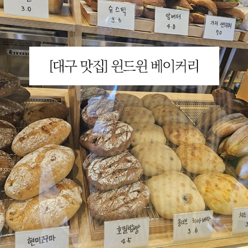  [대구 맛집] 윈드윈 베이커리 후기 오픈런해도 줄을 섰다 ㅋㅋㅋ