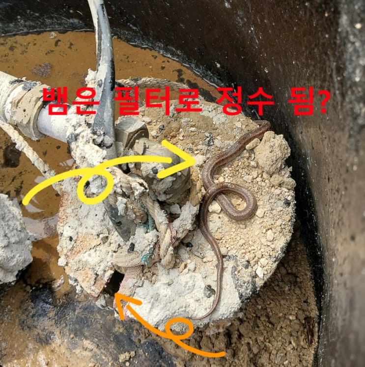 지하수 녹물제거 하러갔다, 경기 남양주, 지하수 뱀 제거.