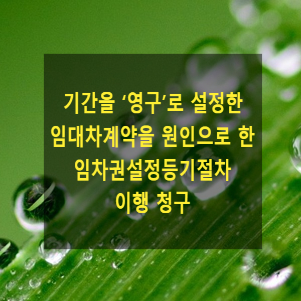  임대차기간을 ‘영구’로 설정한 임대차계약을 원인으로 한 임차권설정등기절차 이행 청구 사건(대법원 2023. 6. 1. 선고 2023다209045)