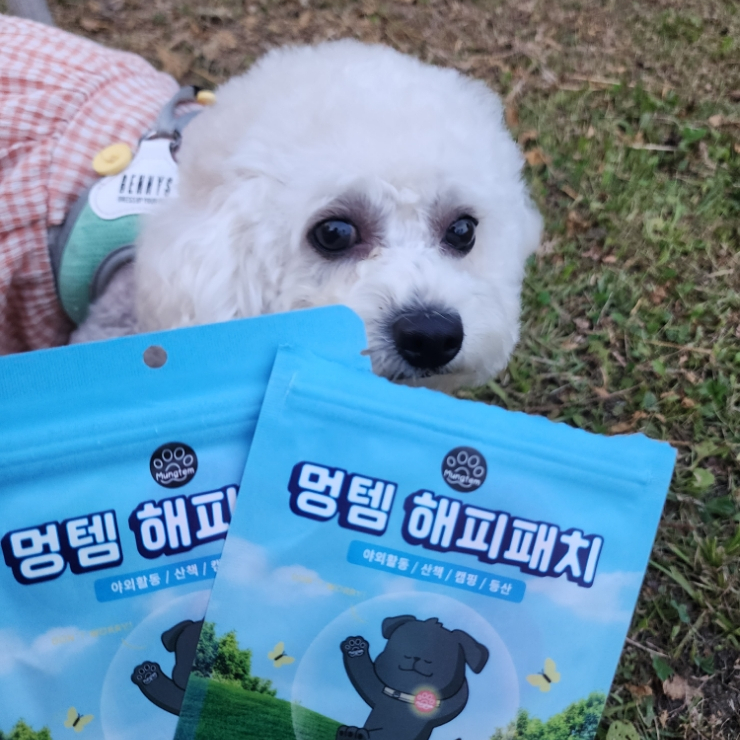  해충방지 패치, 강아지 진드기 기피제 , 멍템 해피패치