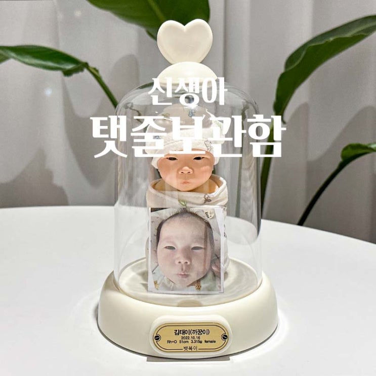  신생아 탯줄보관함 뱃복이 아기 탯줄도장 말고 인형 추천
