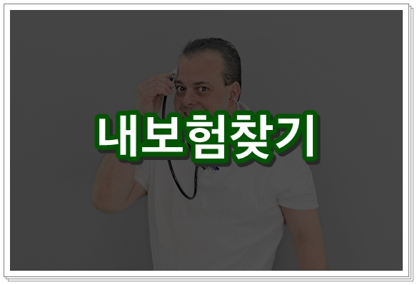  가입 보험 확인 및 가입 보험조회 꼭 체크해요!