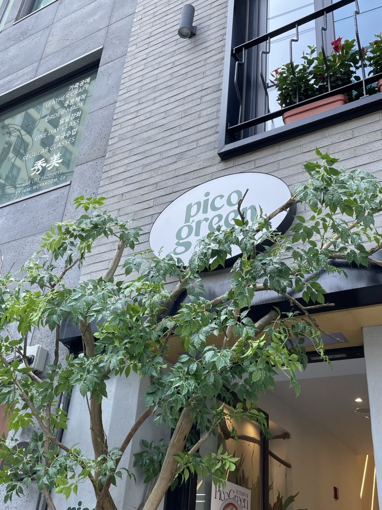  대구 교동 뇨끼 맛집 싱그러운 식물 카페 피코그린