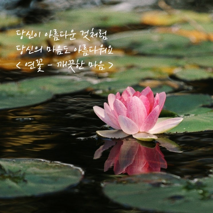  안녕, 7월