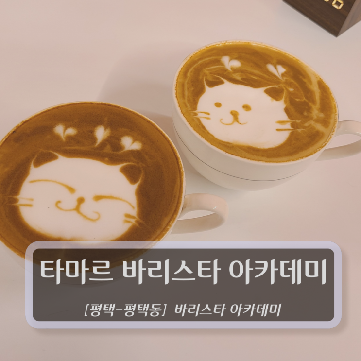  [평택바리스타학원] 타마르 바리스타 아카데미