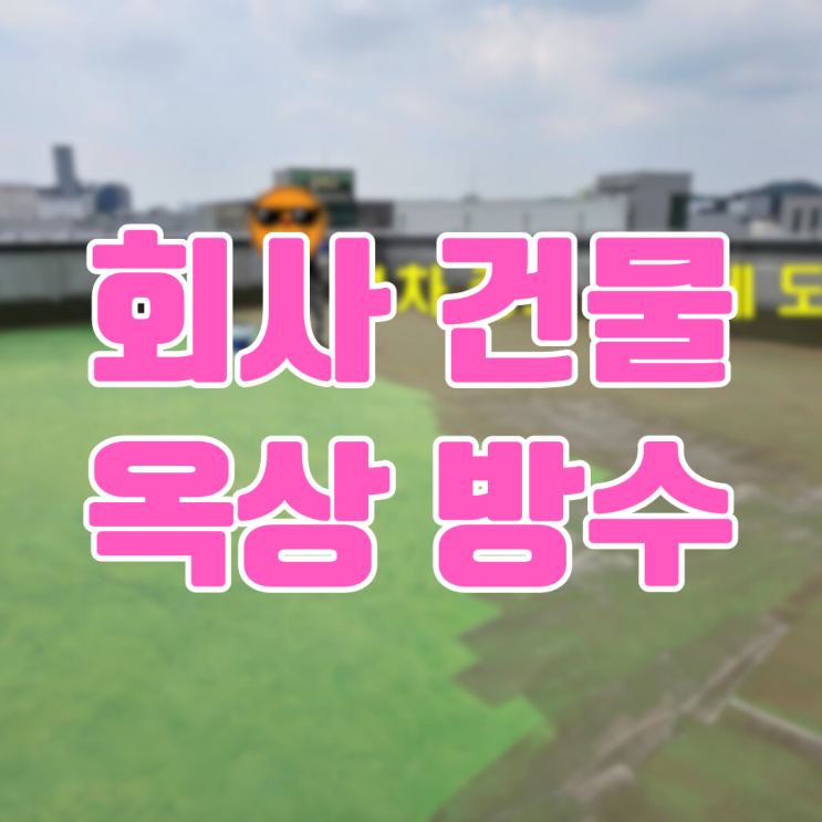  동탄 방교동 회사 건물 옥상 방수 공사-150평 전체 작업