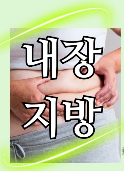  내장지방의 원인