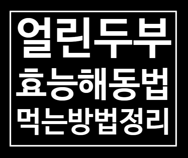  얼린두부효능 해동 먹는법