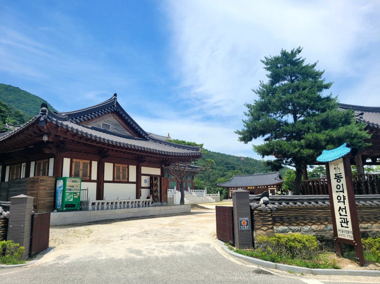 산청 맛집 동의약선관 동의보감촌 한정식 후기