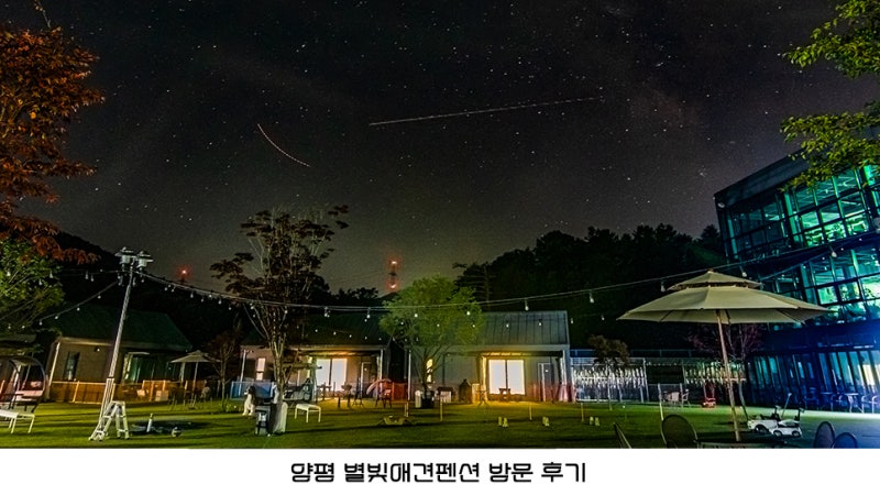 반려견과 함께라면 꼭 방문해야 하는 곳, 양평 별빛애견펜션 1박 2일 투숙 후기