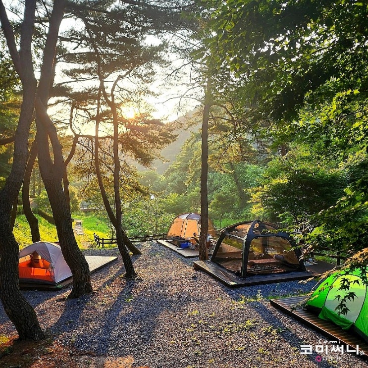 충북 제천 박달재 자연휴양림 야영장 물놀이 가능 (제1야영장과 제2야영장 야영데크 배치도 1-01,1-20) 충북 제천 박달재 자연휴양림 야영장 물놀이 가능 (제1야영장과 제2야영장 야영데크 배치도 1-01,1-20)