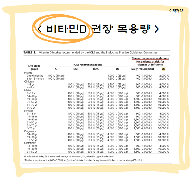 비타민D 대사과정 및 기능 [cholecalciferol, calciol, calcifediol, calcitriol ...