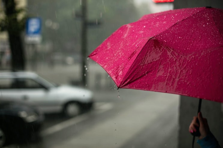 부서진 헌 우산 올바르게 버리는 방법 (분리배출하기)
