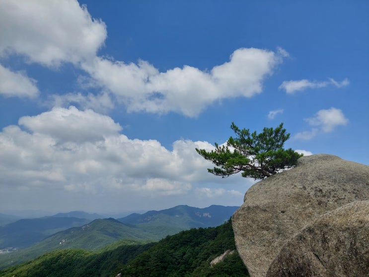 [블챌]체크인 채린지_속리산 막장봉, 장성봉, 은선폭포_환기타임즈 다올시스템