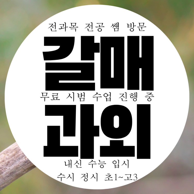  구리 갈매동 영어과외 중등 인창동 수학과외 고등 사탐 과탐