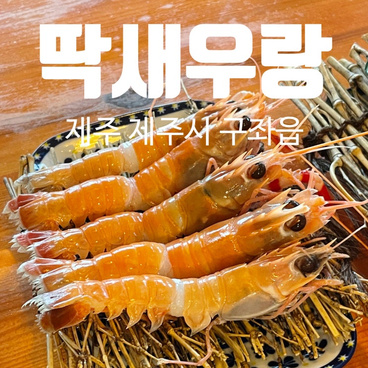 제주 딱새우회 파는 구좌읍 맛집 딱새우랑