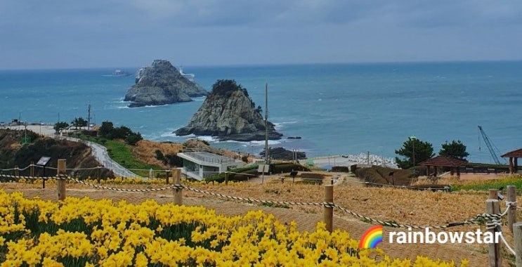  [국내여행] 부산 오륙도 해맞이공원에서 바라보는 바다의 멋진 경치