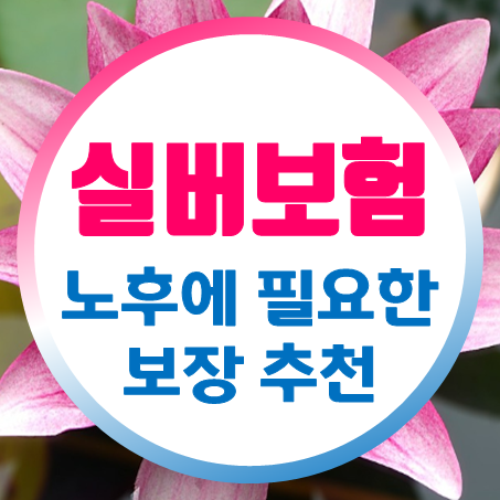  노후실손보험 가입조건부터 노인치매보험 비용 비교까지 손쉽게 해보세요.